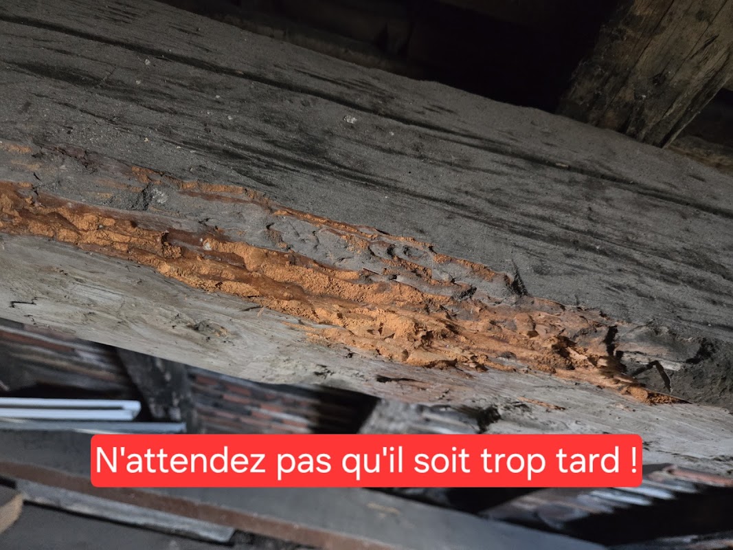 Réalisation — François Multi-Services
