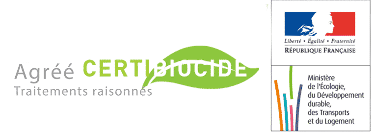 Réalisation — François Multi-Services